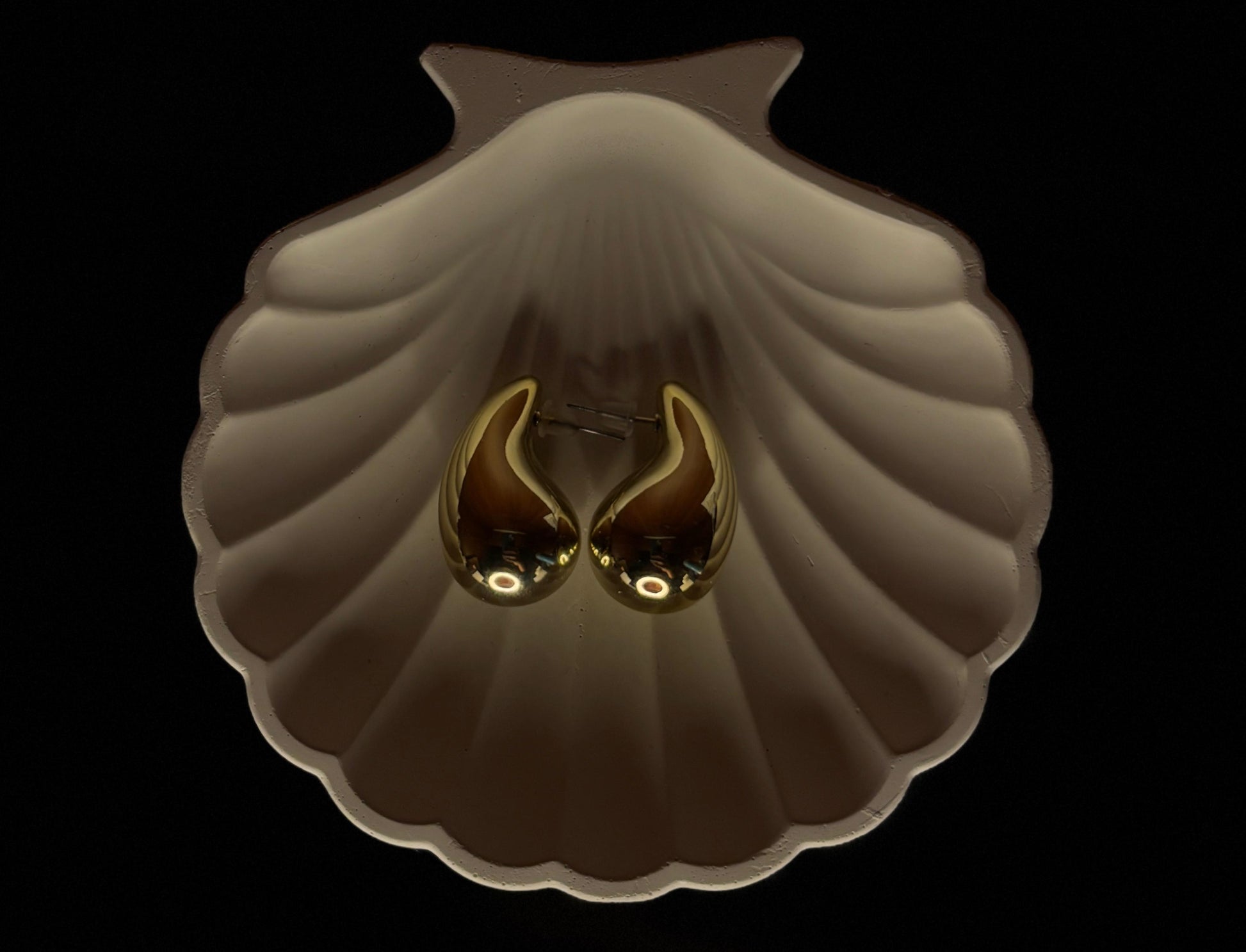Brown shell with a dark interior on a black background