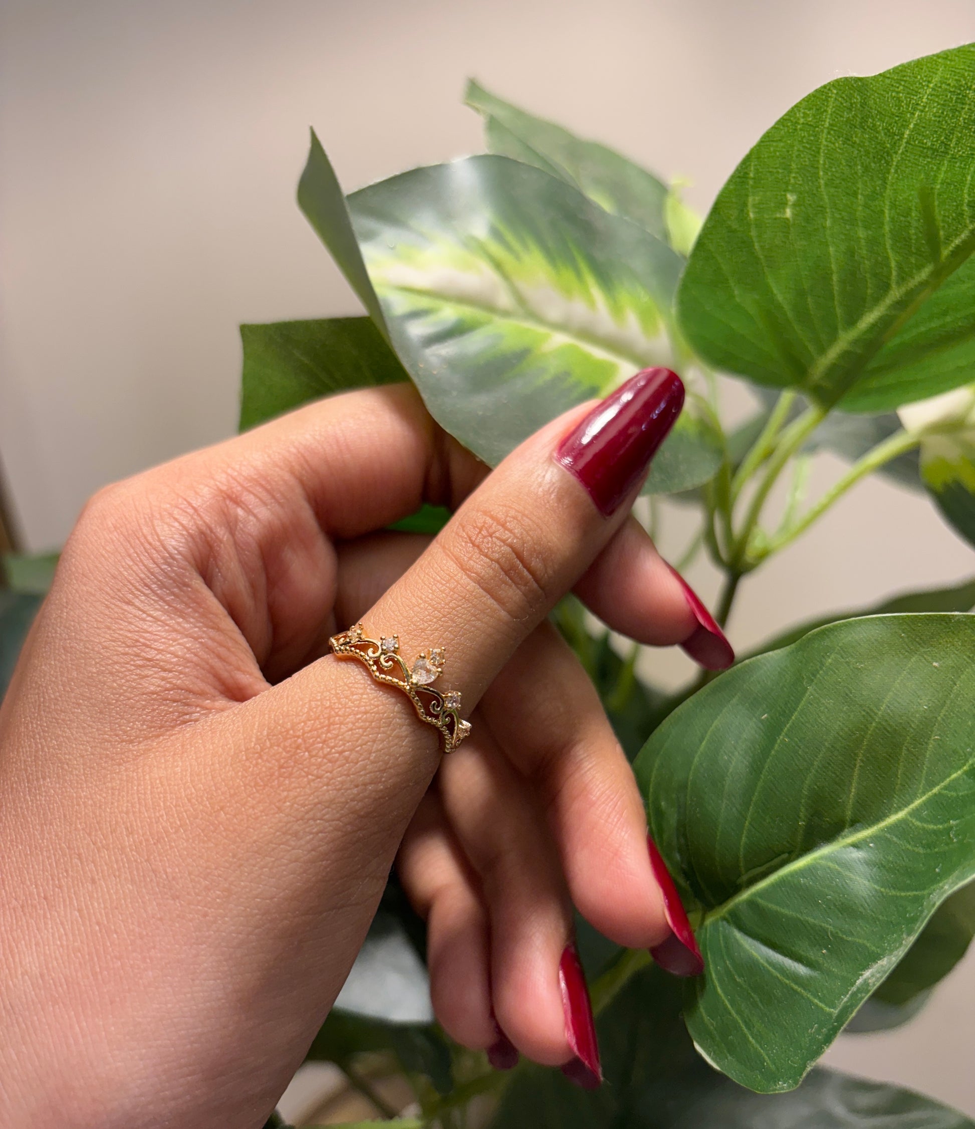Hand with red nail polish wearing a gold ring, holding green leaves.